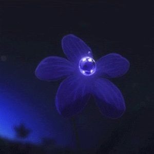 Meet your Posher, Natalie t